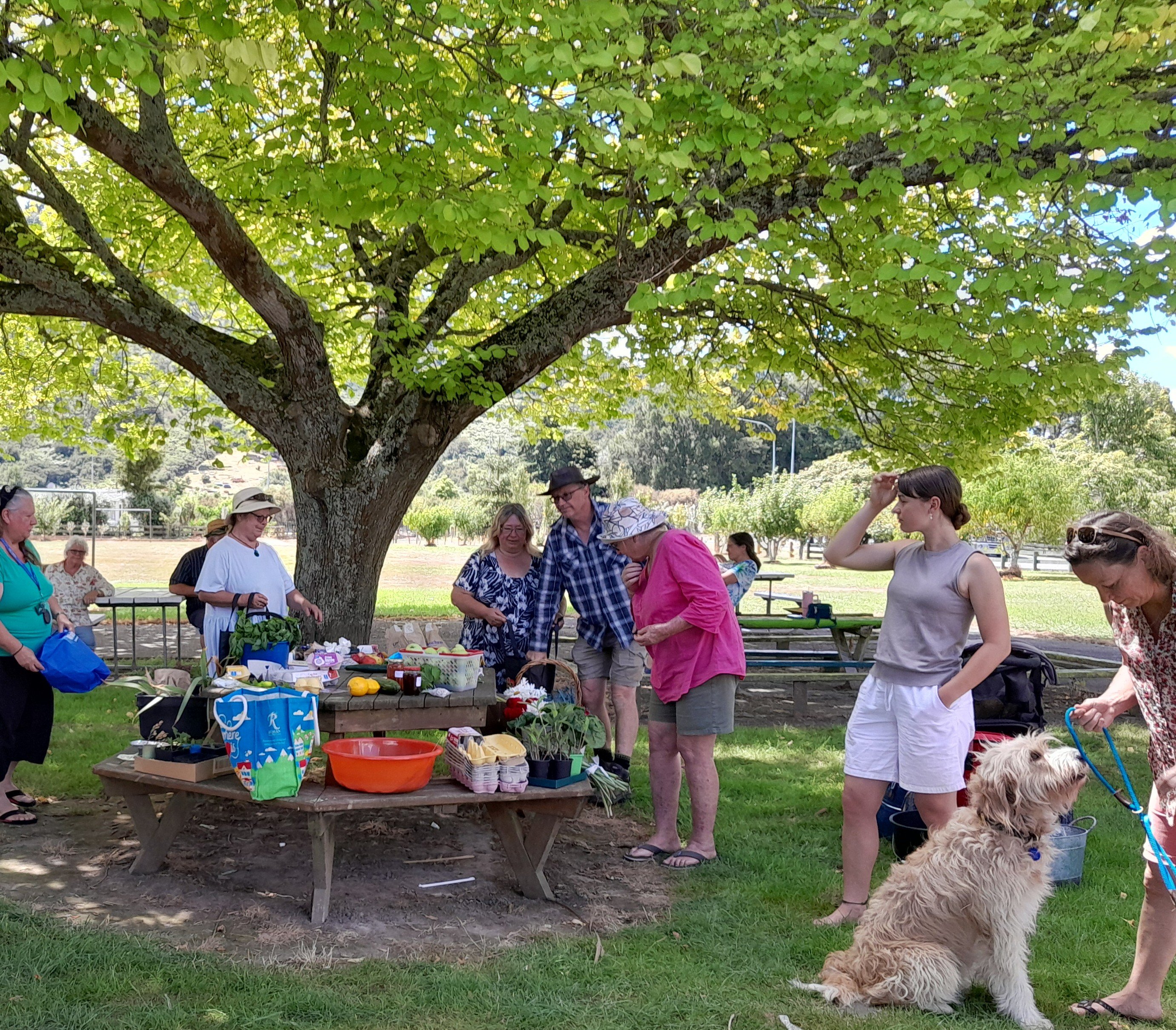 Crop swappers gathered around table of local produce outside Taupiri School.