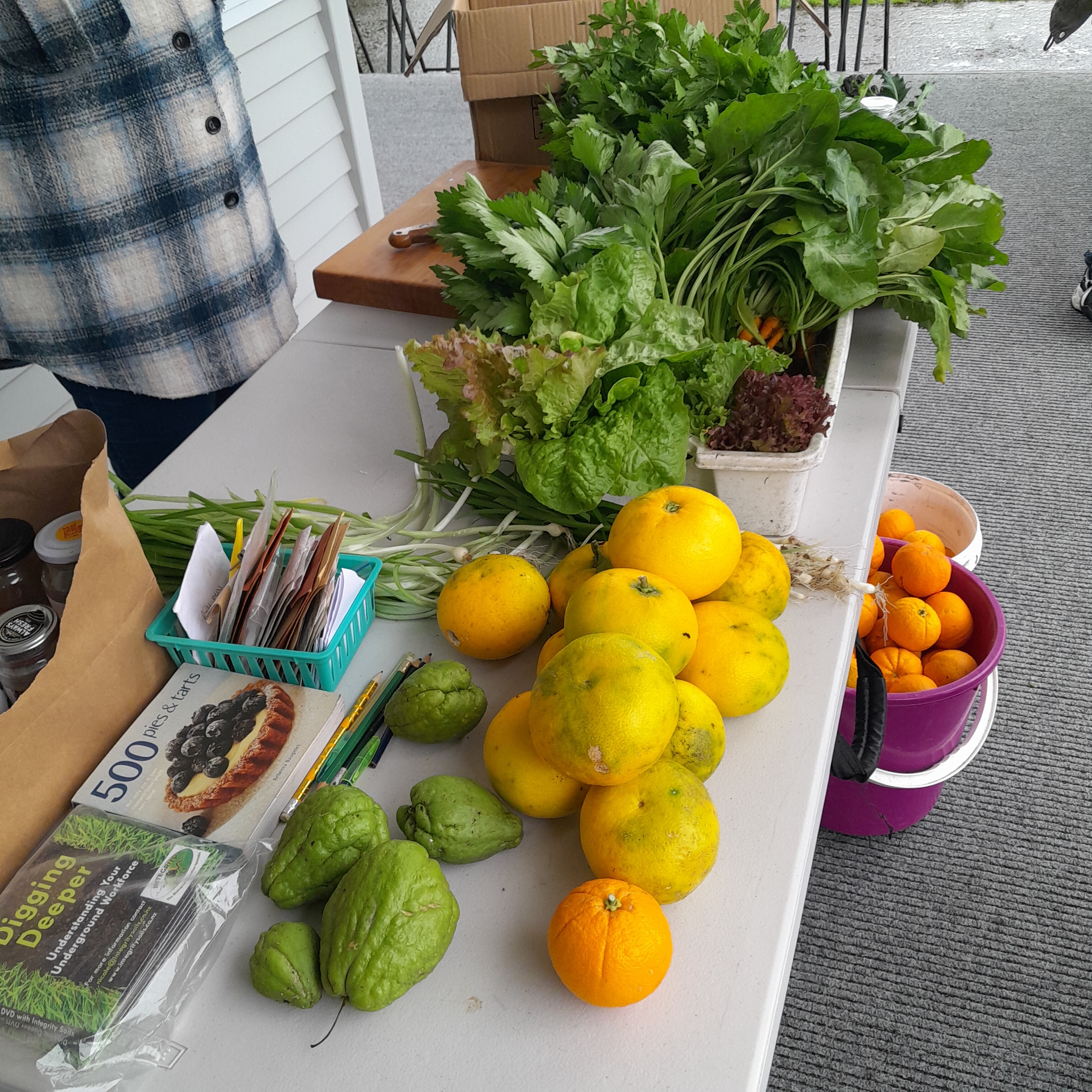 Table of abundant winter produce shared on 18th of August.