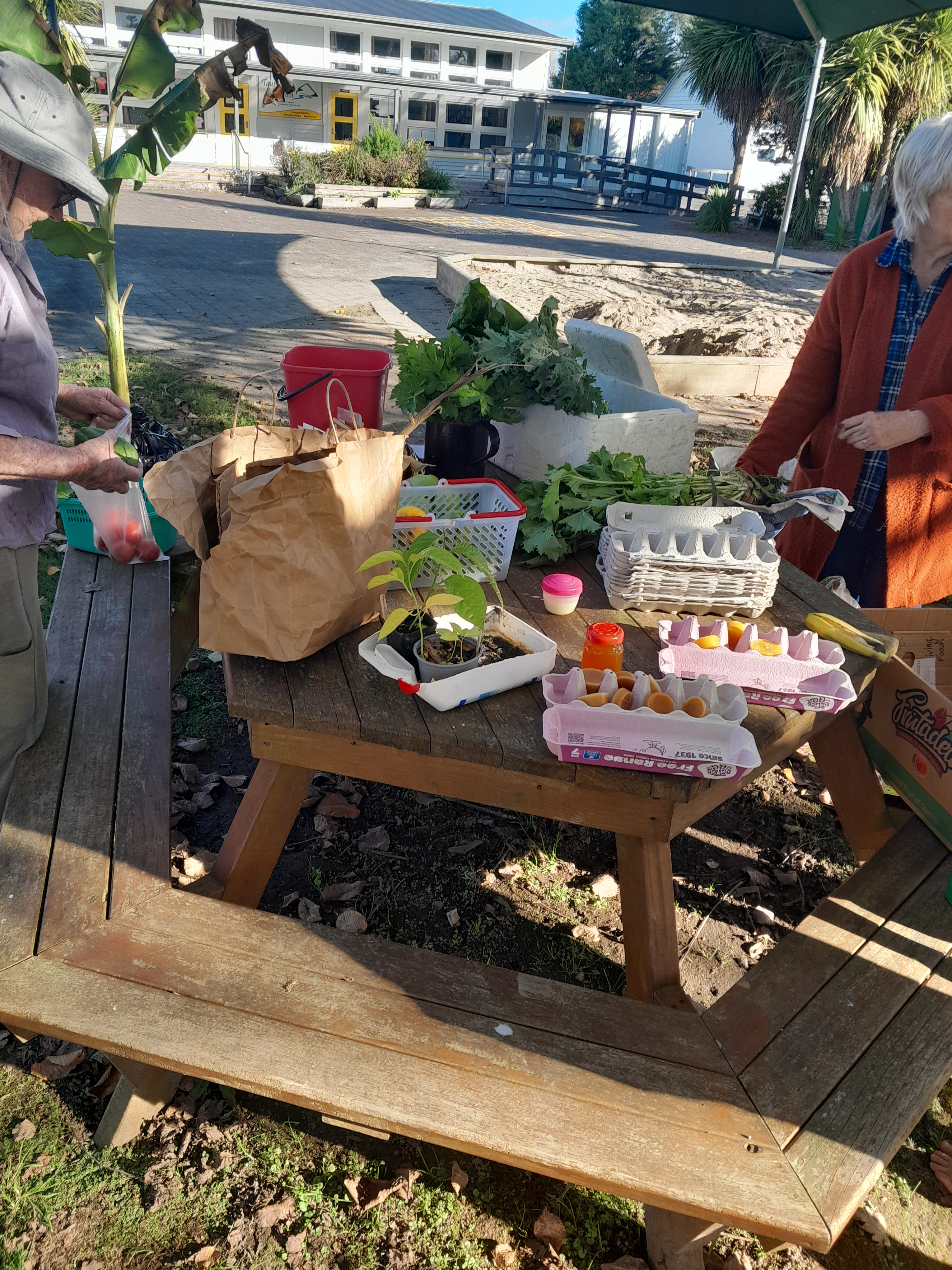 Crop swappers surround a table on Taupiri School grounds.